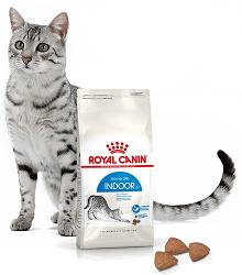 Royal Canin, Zoolife, Зоолайф, корм для домашних кошек, Омск, Роял Канин, Indoor, Индор, живущие в помещении 
