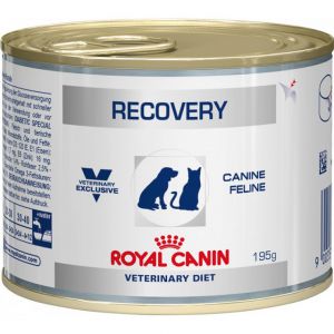 Royal Canin (Ройал Канин) - Recovery (Рековери) - 0,1 кг - Диета для собак и кошек в период анорексии, выздоровления