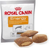 Royal Canin (Роял Канин) - Energy (Энерджи) - Дополнительная энергия для взрослых собак с повышенной физической активностью