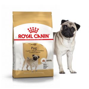 Royal Canin (Роял Канин) - Pug Adult (Мопс Эдалт) - Корм для собак породы Мопс старше 10 месяцев