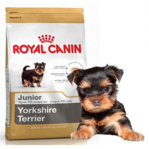 Royal Canin (Роял Канин) - Yorkshire Terrier Junior (Йоркширский Терьер Юниор)  - Корм для щенков породы Йоркширский терьер до 10 месяцев
