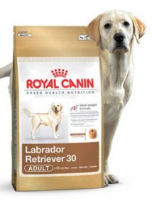 Royal Canin (Роял Канин) - Labrador Retriever Adult (Лабрадор Ретривер Эдалт) - Корм для собак породы Лабрадор старше 15 месяцев