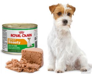 Royal Canin (Роял Канин) - Adult Beauty 195 гр (Эдалт Бьюти) - Для взрослых собак с 10 месяцев до 8 лет